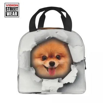 Милая сумка для ланча с изоляцией для собак померанского шпица для женщин, Сменный термоохладитель для щенка шпица, коробка для ланча, Офисная работа, школа